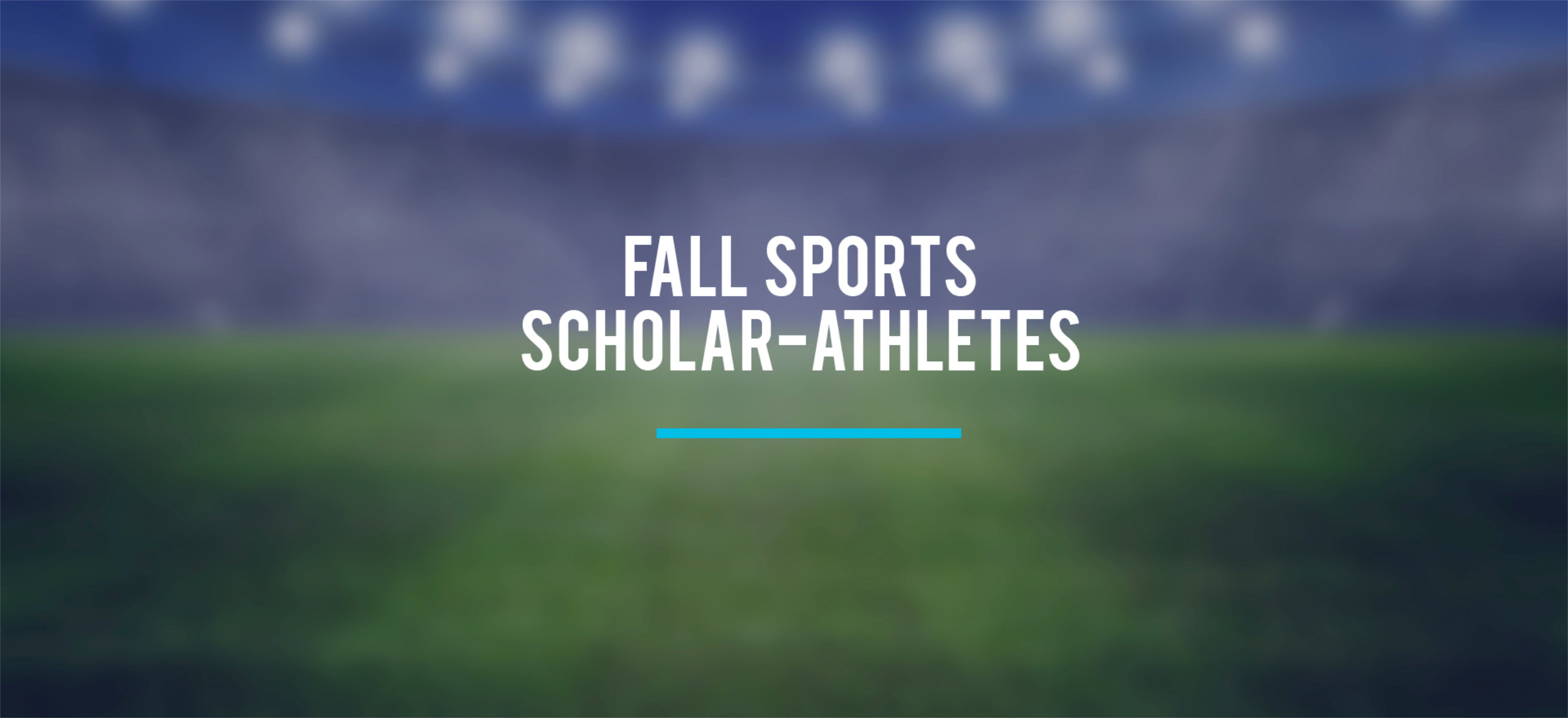 New York State Scholar Athlete Award honors were claimed by 122 Blue Devils this fall