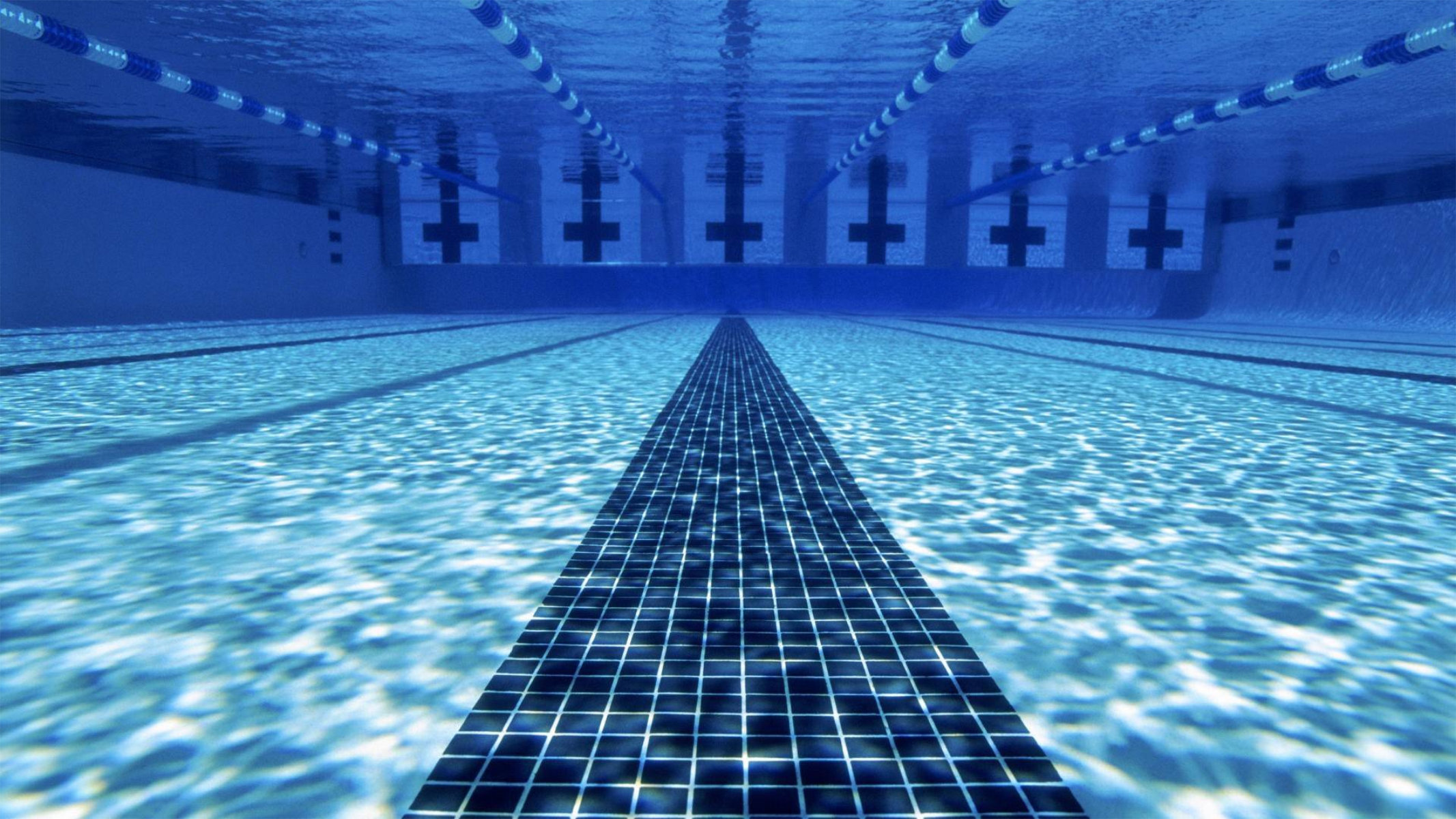 The Blue Devil girls' swimmers are off to a great start with a 6-1 record this fall.