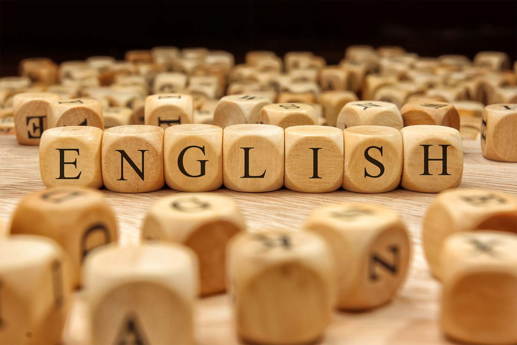   Huntington's English Honor Society chapter recently inducted new members. (11) 