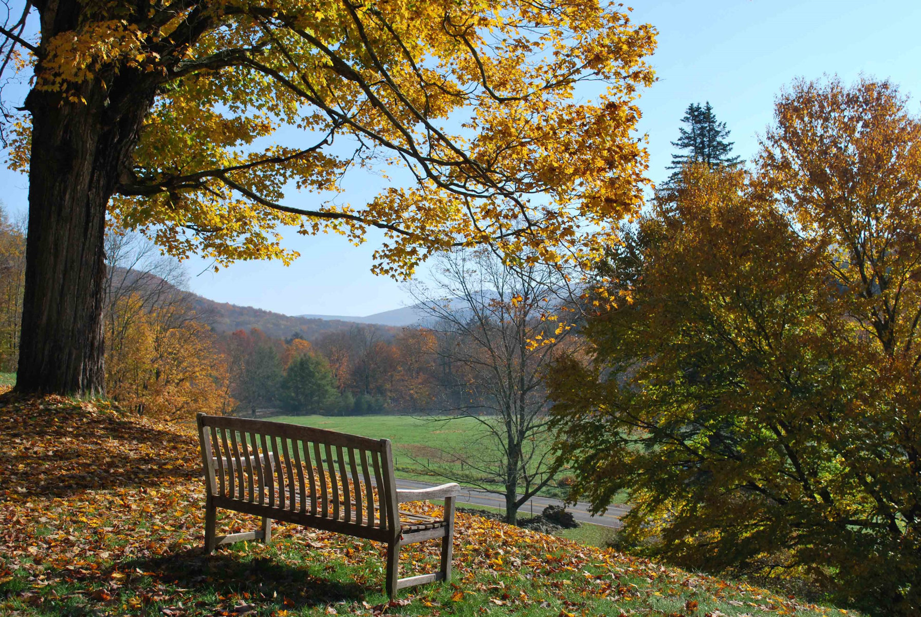  The facilities at Frost Valley are loevly.  (1)  