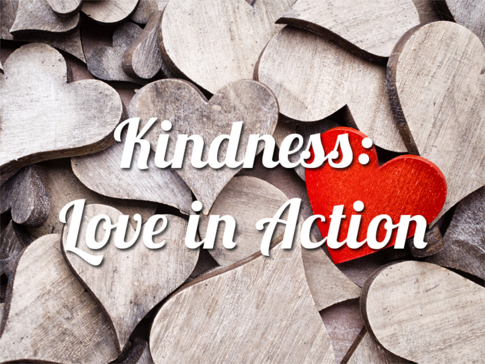 Washington Primary School students focused on kindness, love and learning during a weeklong celebration (2)