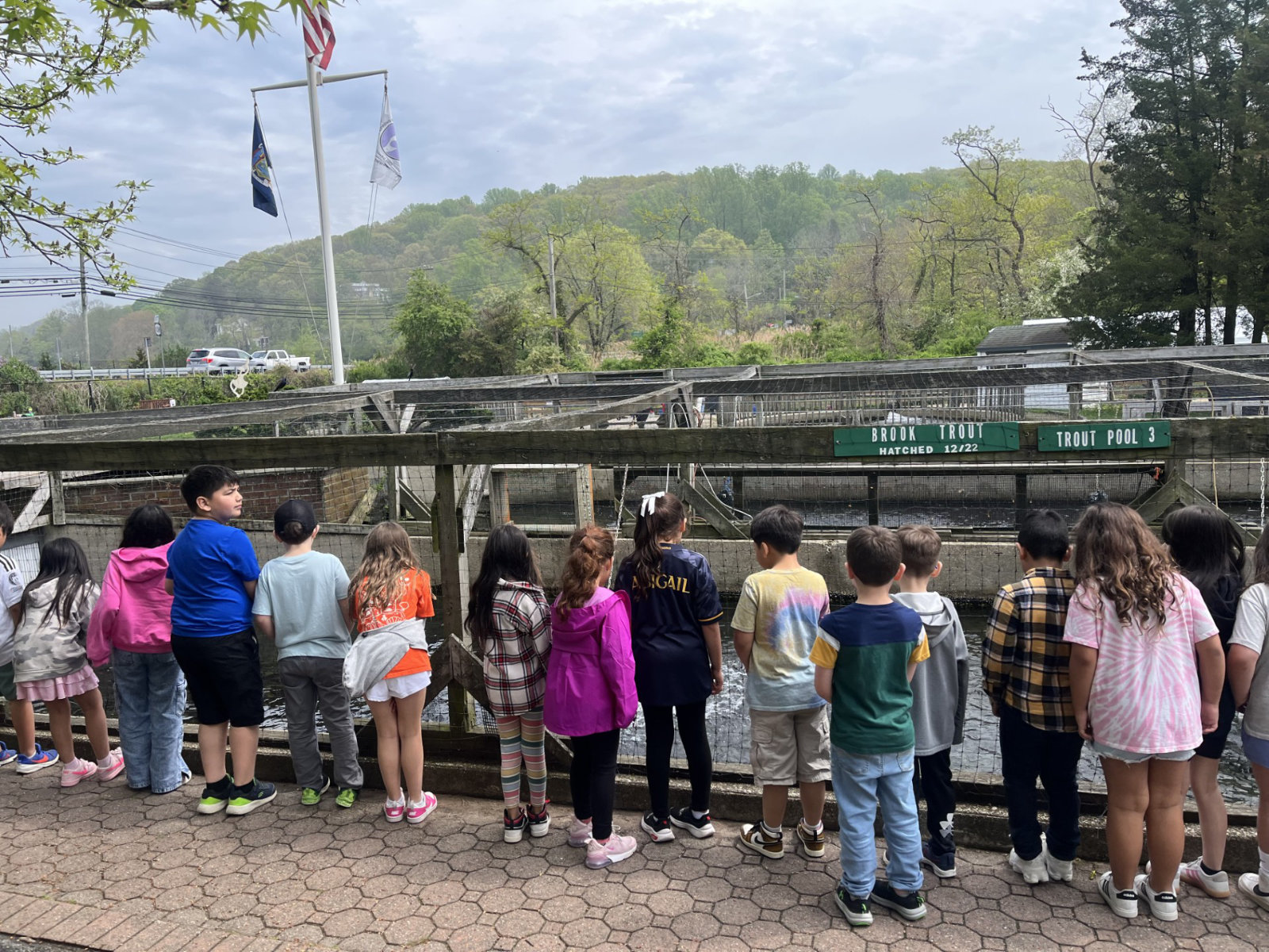  Southdown second graders at the Cold Spring Harbor Fish Hatchery.  