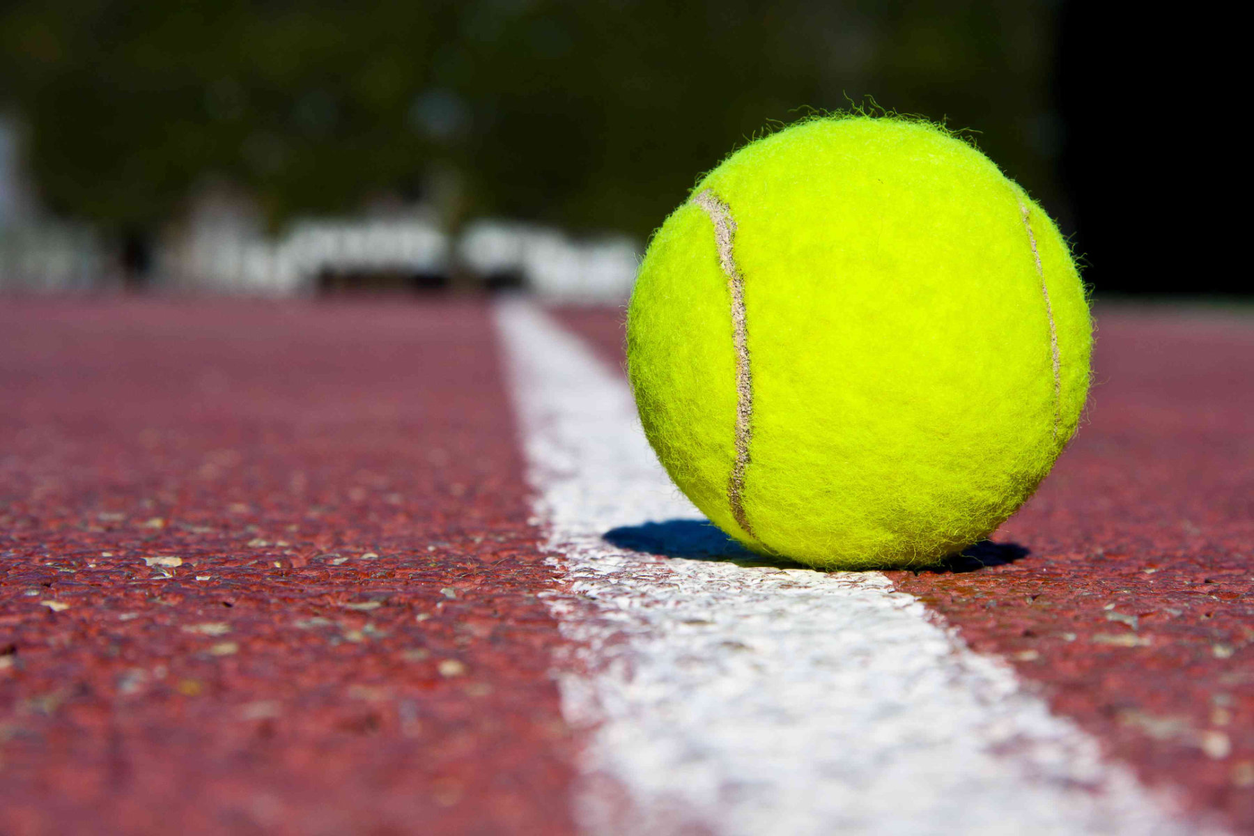  The Huntington JV girls' tennis team compiled an overall record of 10-2 this fall.  