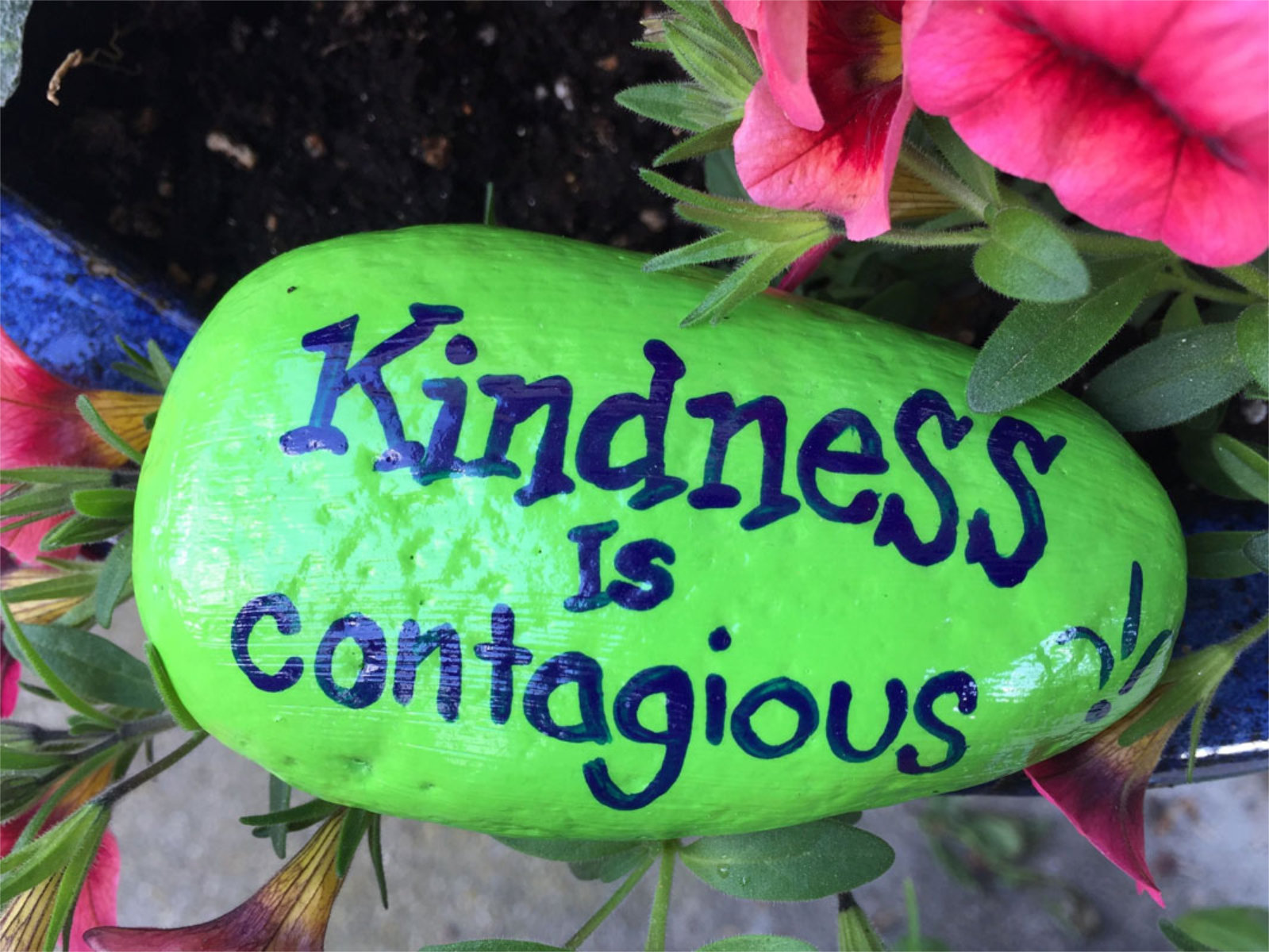  Washington students are the I in the word Kind   