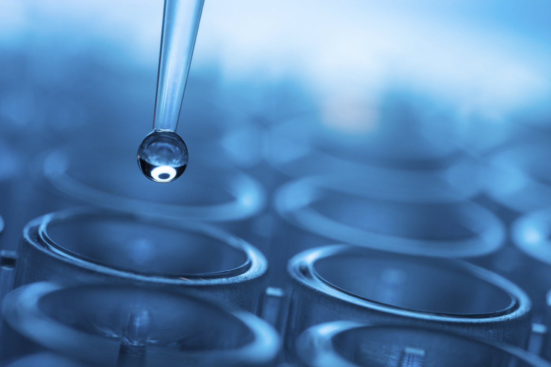  Huntington's science research program has  spectacular students in its ranks   