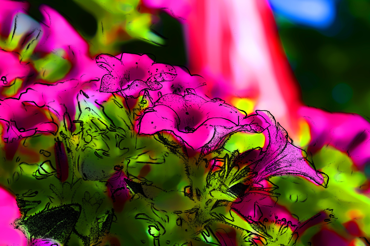  Andie DiGioia's interpretation of Fauvism.  