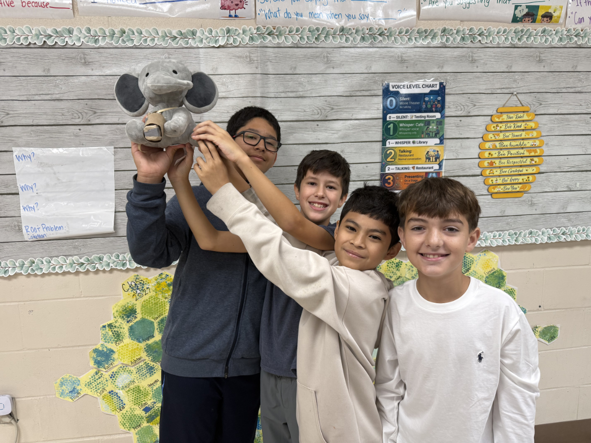  Woodhull sixth grade students create animal prosthetics in the Innovation Lab.  