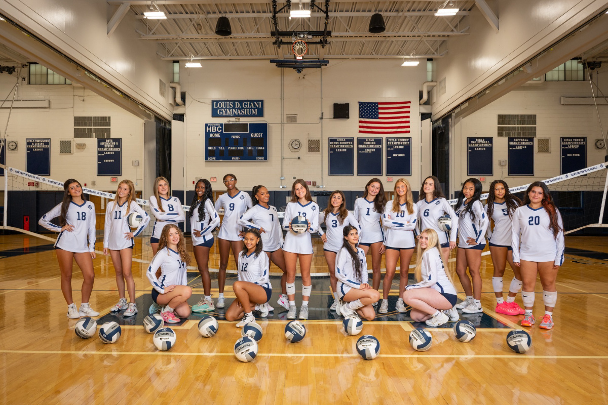 The Blue Devils will take on the Northport Tigers in the annual Dig Pink Breast Cancer Awareness Game 