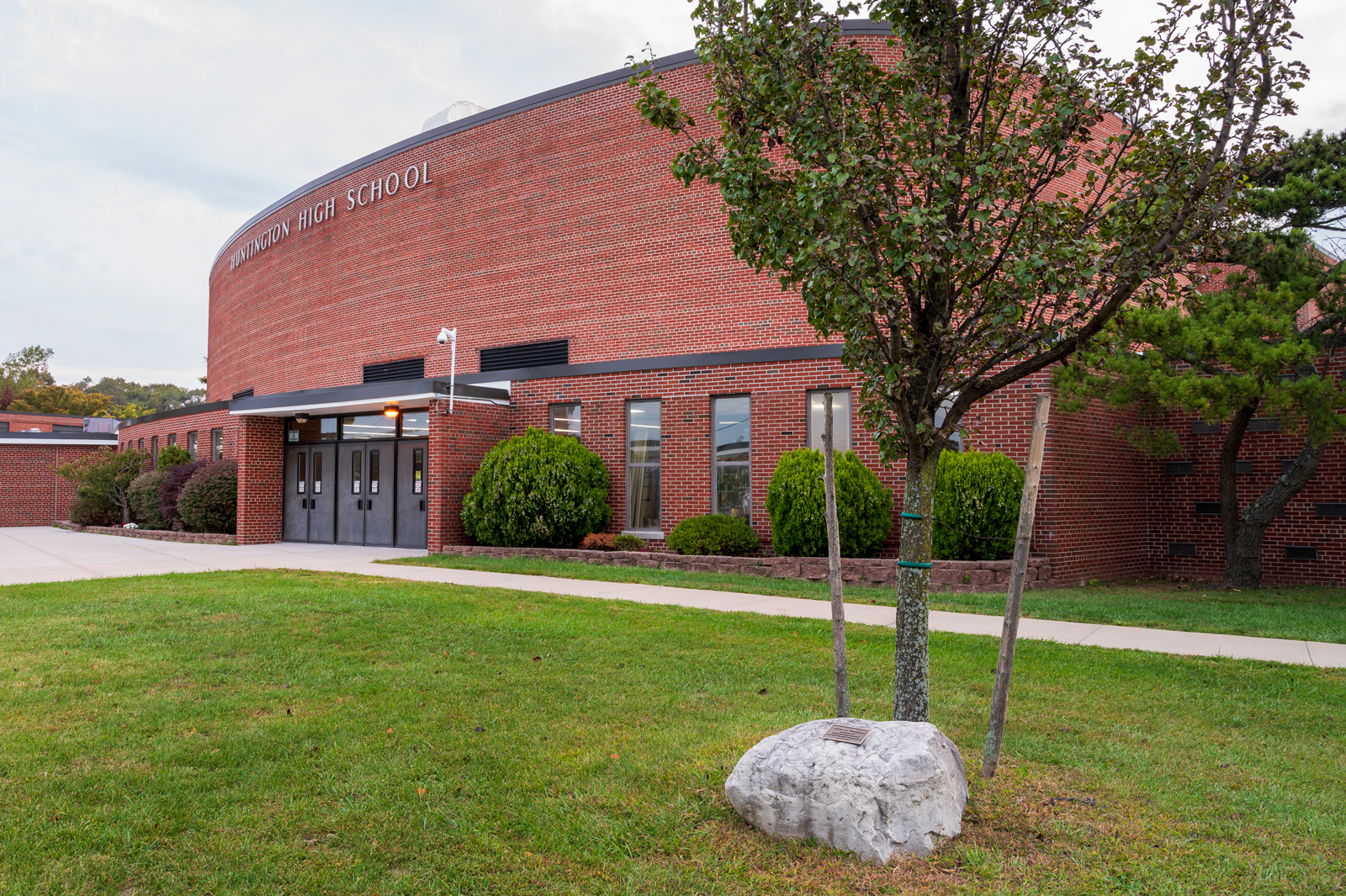 HHS Memorial tree