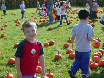 White Post Farms